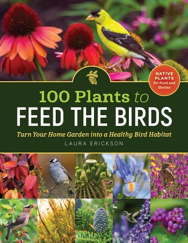 Cover of 100 Plants to Feed the Birds by Laura Erickson