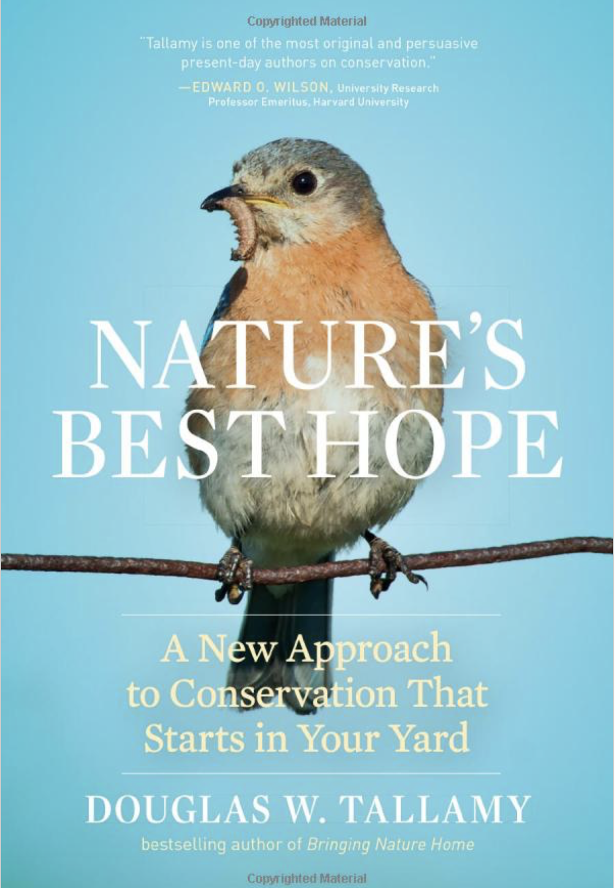 Cover of Nature's Best Hope by Douglas W. Tallamy